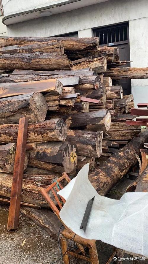 金华市一堆六千多公斤的木材被拍卖,有人花5.72万买下